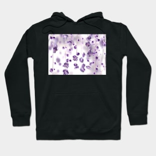 Cherry blossoms Hoodie